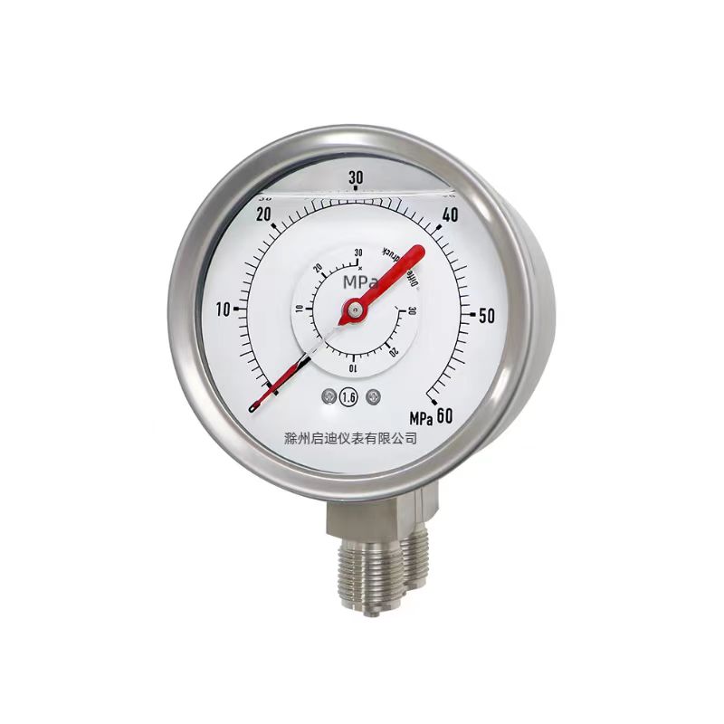 Double needle and double tube differential pressure gauge YCS