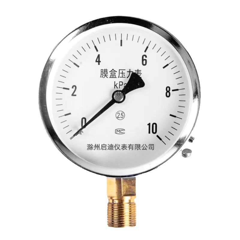 All plastic (shock resistant) diaphragm pressure gauge PYTS (N)