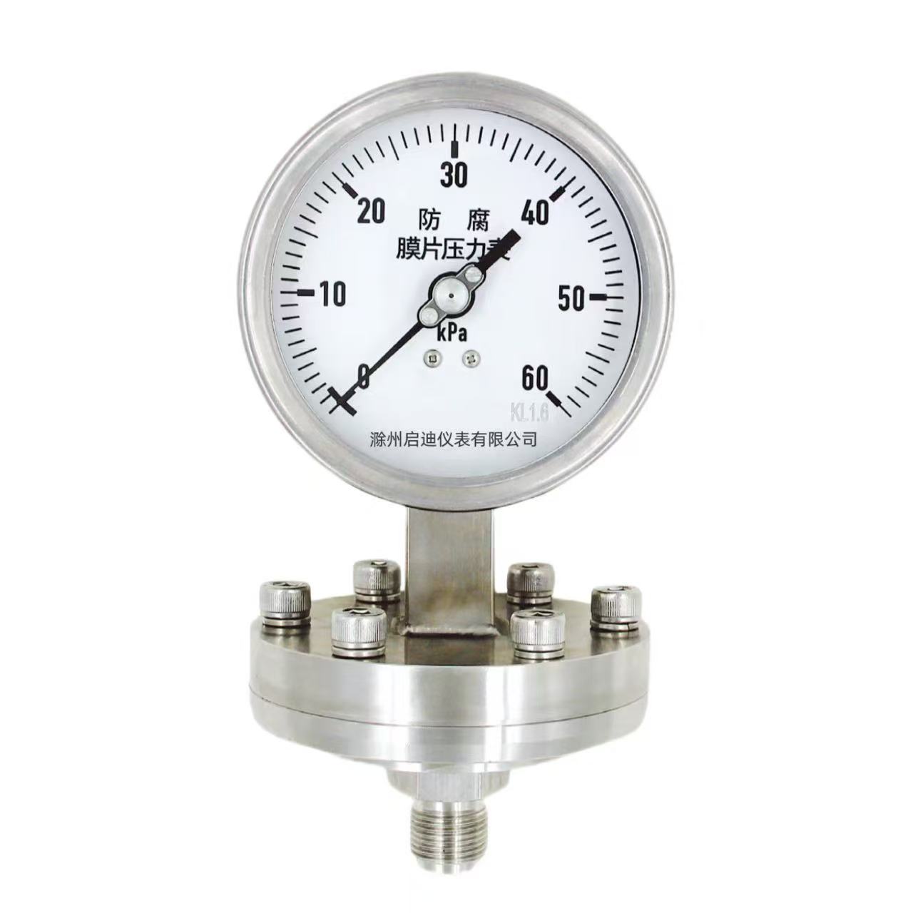 Full stainless steel (shock resistant) diaphragm pressure gauge BF (N)